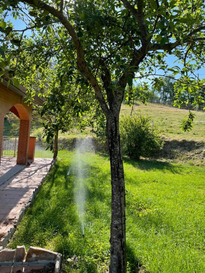Luxury Villa Arianna Tarano Exteriér fotografie